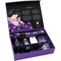 Shunga Naughtier Kit for Couples' Pleasure