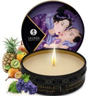 Shunga Secret Geisha Exotic Fruits Set for Romantic Moments