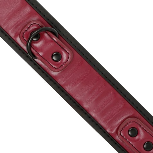 Collar Fetish Submissive Origin Con Cadena