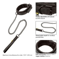 Boundless Collar with Leash for BDSM Play