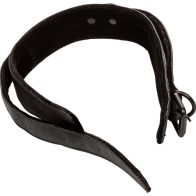 Boundless Collar with Leash for BDSM Play