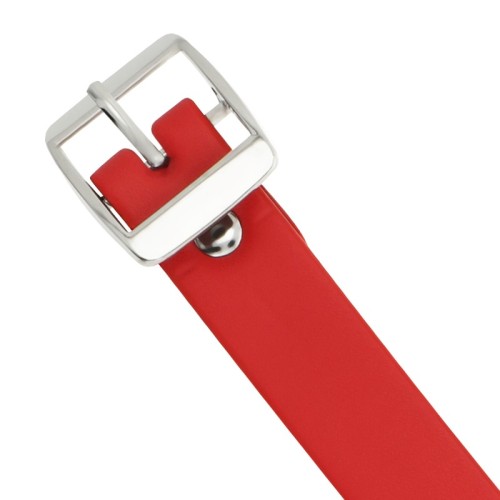 Coquette Chic Desire Vegan Leather Collar