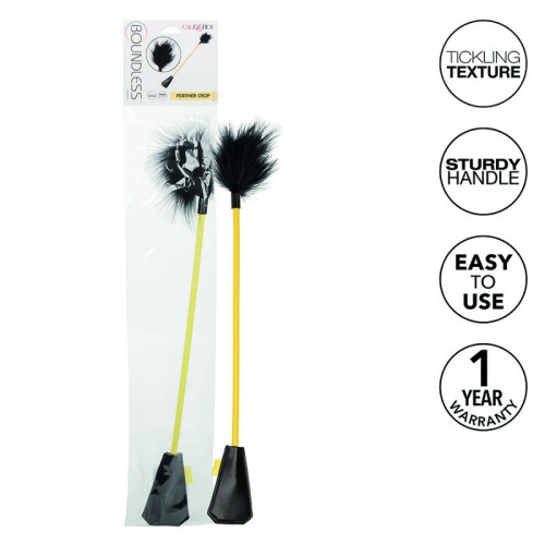 Boundless Feather Crop - Playful BDSM Tool