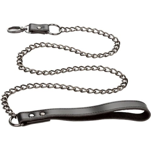 Euphoria Collar with Chain Leash - Elegant BDSM Accessory