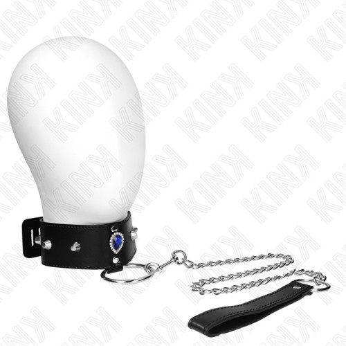 Elegant Kink Collar with Leash