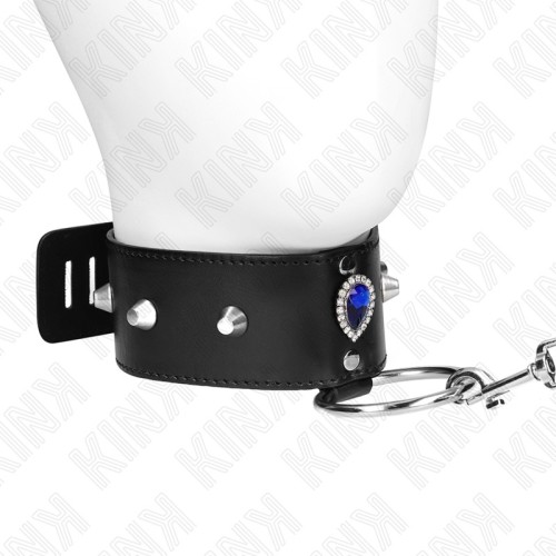 Elegant Kink Collar with Leash