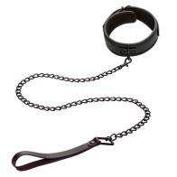 Nocturnal Adjustable Collar & Leash - Elegance and Control