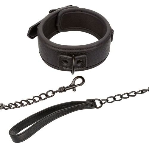 Nocturnal Adjustable Collar & Leash - Elegance and Control