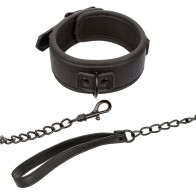 Nocturnal Adjustable Collar & Leash - Elegance and Control