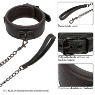 Nocturnal Adjustable Collar & Leash - Elegance and Control