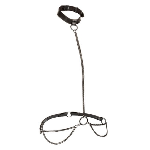 Euphoria Halter Collar & Leash with Chain