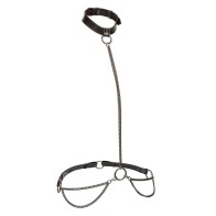 Euphoria Halter Collar & Leash with Chain