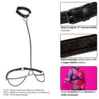 Euphoria Halter Collar & Leash with Chain