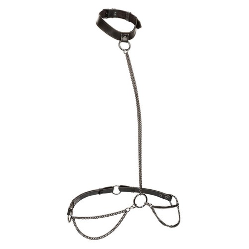 Euphoria Plus Size Chain Halter/Collar & Leash