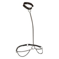 Euphoria Plus Size Chain Halter/Collar & Leash