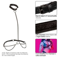 Euphoria Plus Size Chain Halter/Collar & Leash