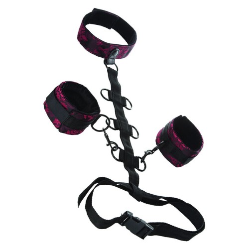 Scandal Restraint Collar - Luxury Bondage Accessory