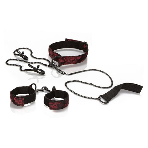 Scandal Submission Kit for Sensory Exploration