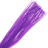 Darkness Purple Bondage Whip for Sensual Submission