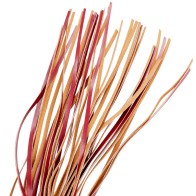 Fetish Submissive Vegan Whip for BDSM Play