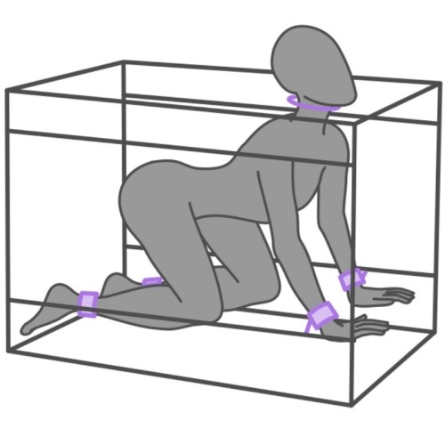 Kink Club The Niche for Role-Play and Bondage