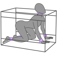 Kink Club The Niche for Role-Play and Bondage