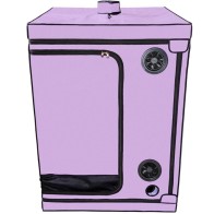 Kink Club Scandale Cabin Purple