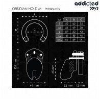 Obsidian Hold Penis Cage for Control and Submission
