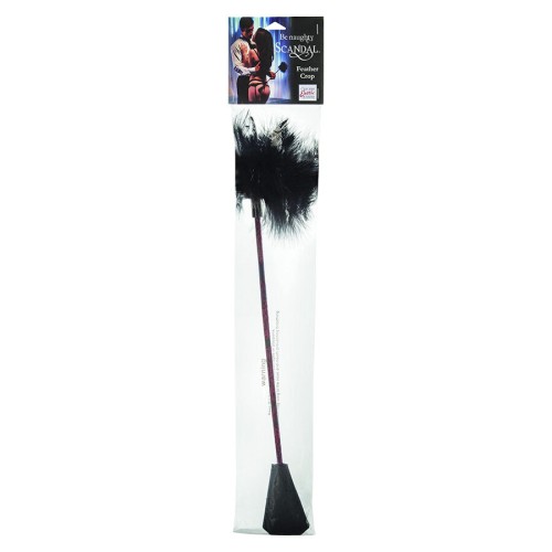 Scandal Black Feather Whip for Sensual Play