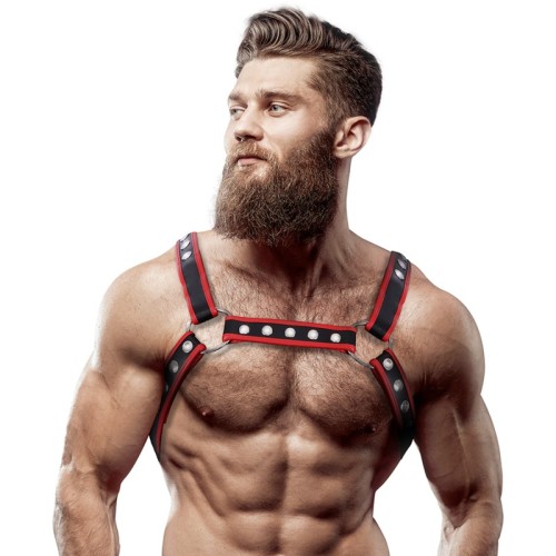 Bulldog Chest Harness - Stylish Men's Accessory