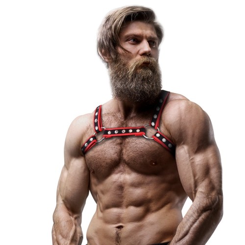 Bulldog Chest Harness - Stylish Men's Accessory