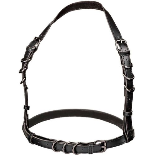 Arnés Con Hebilla Halter Estiloso para Moda