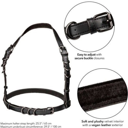 Arnés Con Hebilla Halter Estiloso para Moda