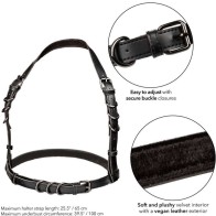 Arnés Con Hebilla Halter Estiloso para Moda