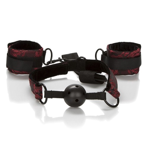 Versatile Breathable Ball Gag for Bondage Play