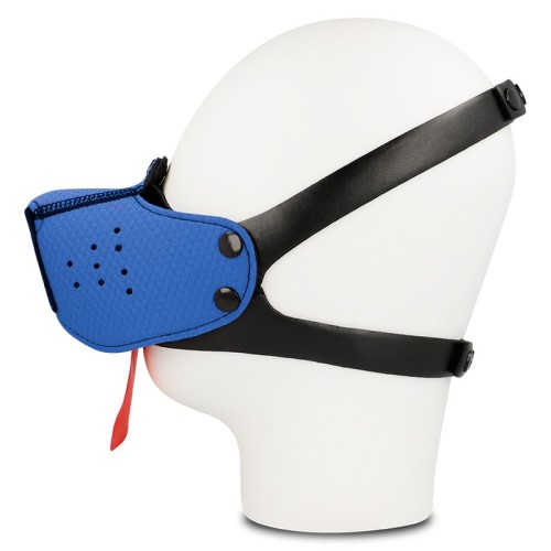Blue Dog Muzzle for Fetish Play