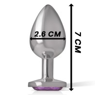 Intense Plug Anal Aluminio Con Cristal Violeta Para Placer Glamuroso