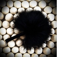 Bijoux - Les Petits Bonbons Feather Stimulator - Sensual Exploration