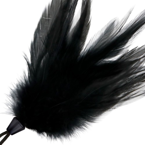 Sensual Stimulating Feather for Intimacy