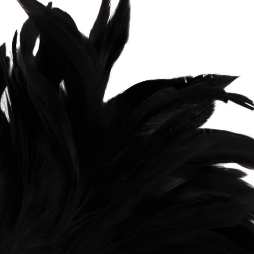 Darkness Stimulating Feather for Sensual Play