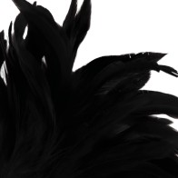 Darkness Stimulating Feather for Sensual Play