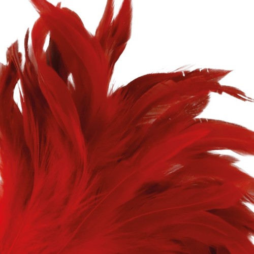Darkness - Pluma Estimuladora Roja