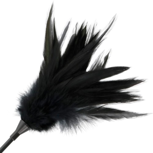 Darkness - Whip with Feather Black | Sensual Play Tool
