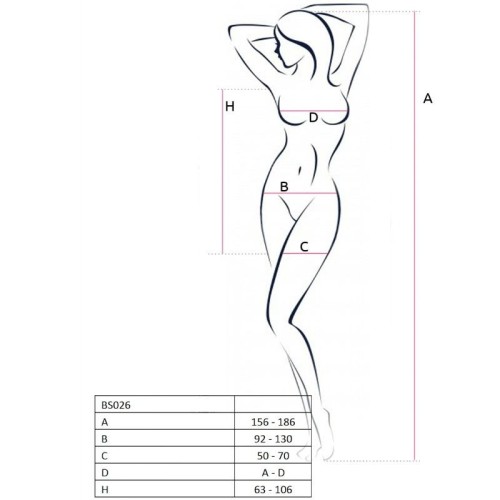 Passion BS026 Bodystocking for Sexy Occasions