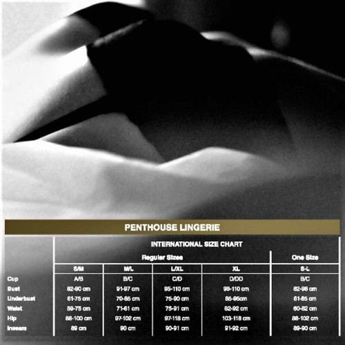 Penthouse No Excuses Fishnet Stockings for Seduction