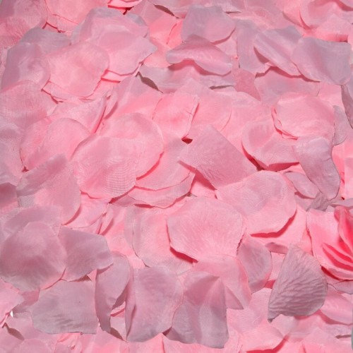 100 Rose Petals - Romantic Surprise for Your Partner
