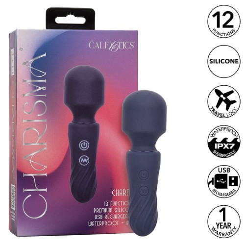 Charisma Charm Portable Massager 12 Functions Purple