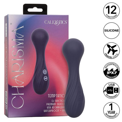 Charisma Temptation Powerful 12-Function Massage Wand