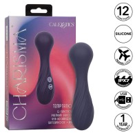 Charisma Temptation Powerful 12-Function Massage Wand