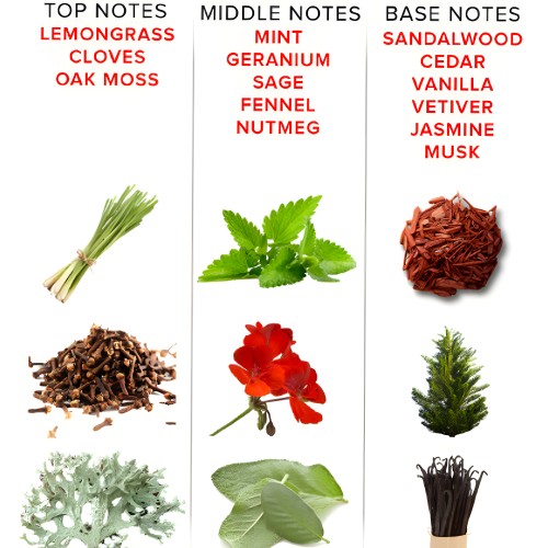 Perfume de Feromonas Eol